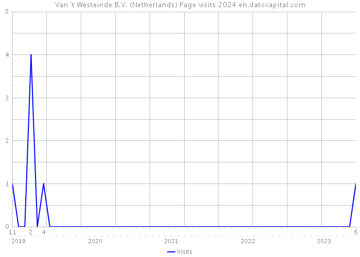 Van 't Westeinde B.V. (Netherlands) Page visits 2024 