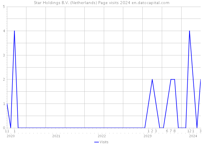 Star Holdings B.V. (Netherlands) Page visits 2024 