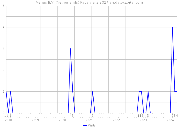 Verius B.V. (Netherlands) Page visits 2024 