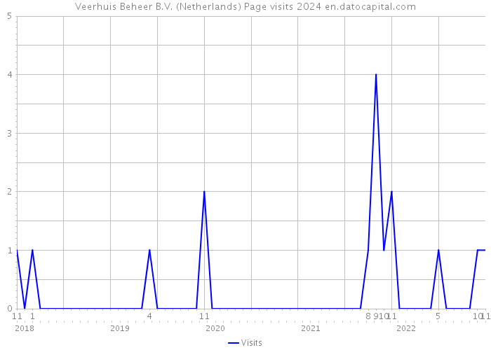 Veerhuis Beheer B.V. (Netherlands) Page visits 2024 