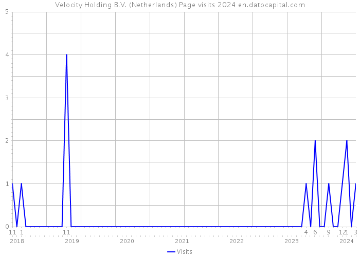 Velocity Holding B.V. (Netherlands) Page visits 2024 