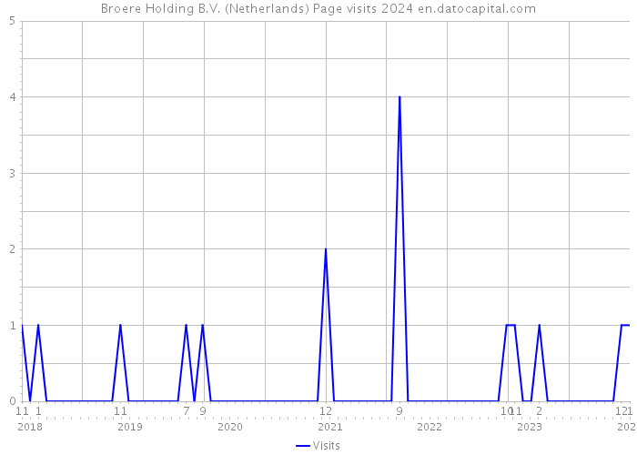 Broere Holding B.V. (Netherlands) Page visits 2024 