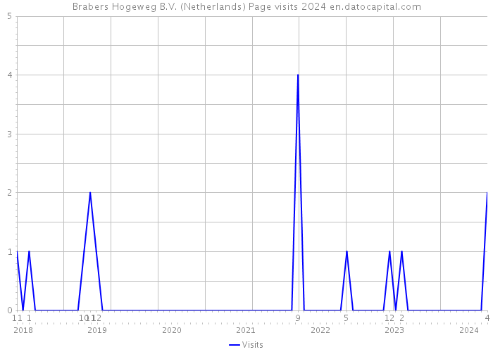 Brabers Hogeweg B.V. (Netherlands) Page visits 2024 