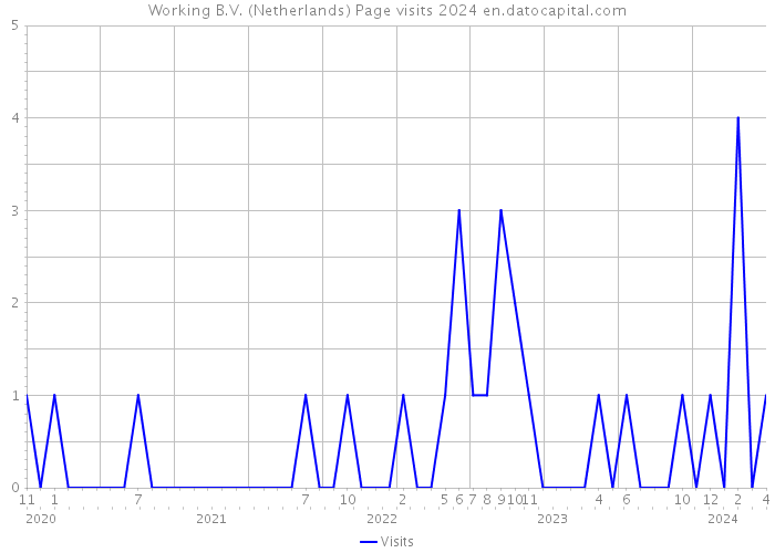 Working B.V. (Netherlands) Page visits 2024 