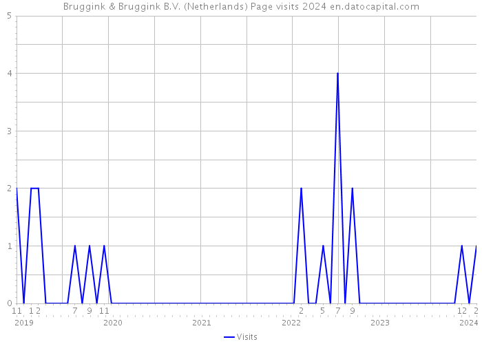 Bruggink & Bruggink B.V. (Netherlands) Page visits 2024 