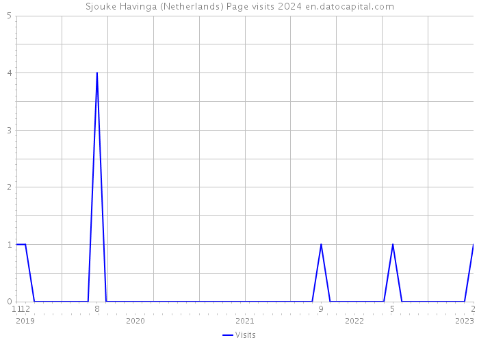 Sjouke Havinga (Netherlands) Page visits 2024 