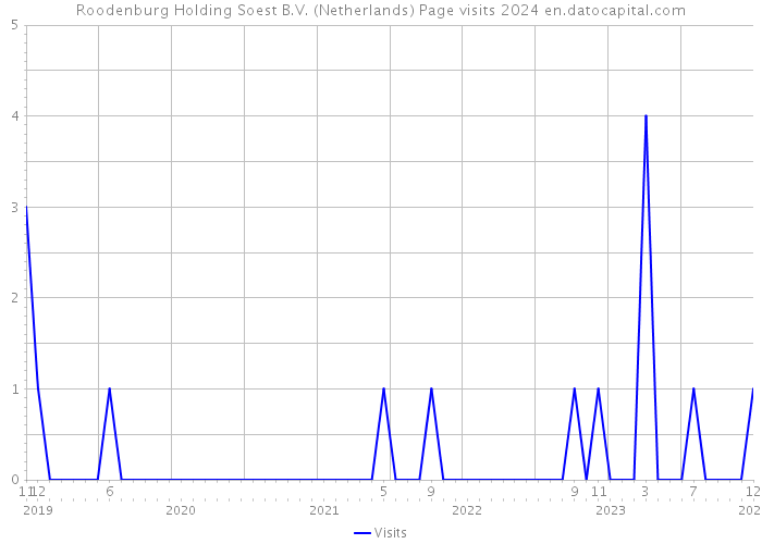 Roodenburg Holding Soest B.V. (Netherlands) Page visits 2024 
