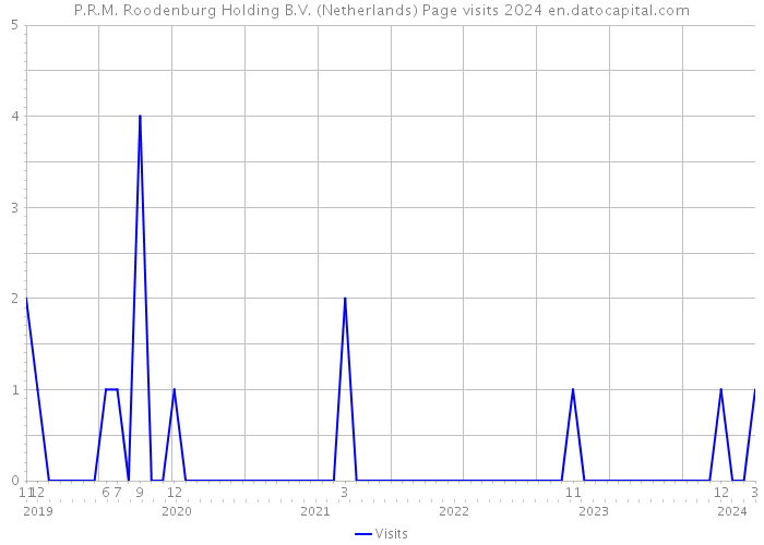 P.R.M. Roodenburg Holding B.V. (Netherlands) Page visits 2024 