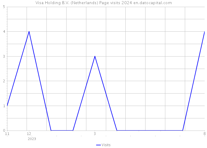 Visa Holding B.V. (Netherlands) Page visits 2024 