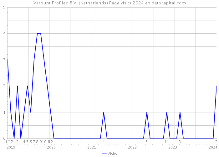 Verbunt Profilex B.V. (Netherlands) Page visits 2024 