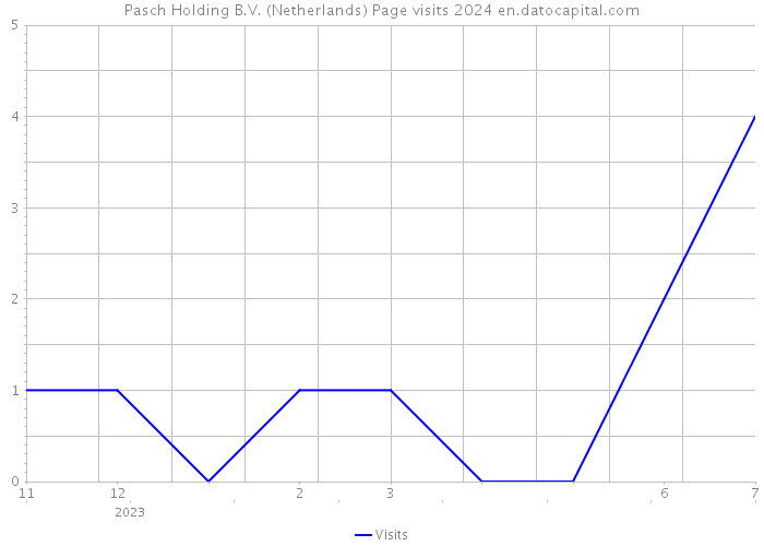 Pasch Holding B.V. (Netherlands) Page visits 2024 