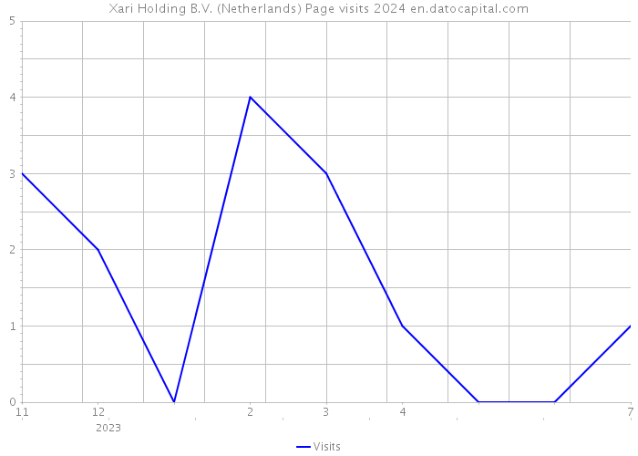 Xari Holding B.V. (Netherlands) Page visits 2024 