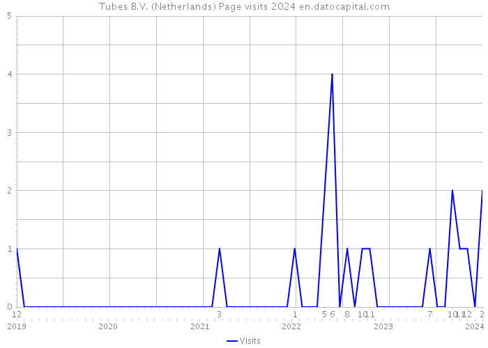 Tubes B.V. (Netherlands) Page visits 2024 