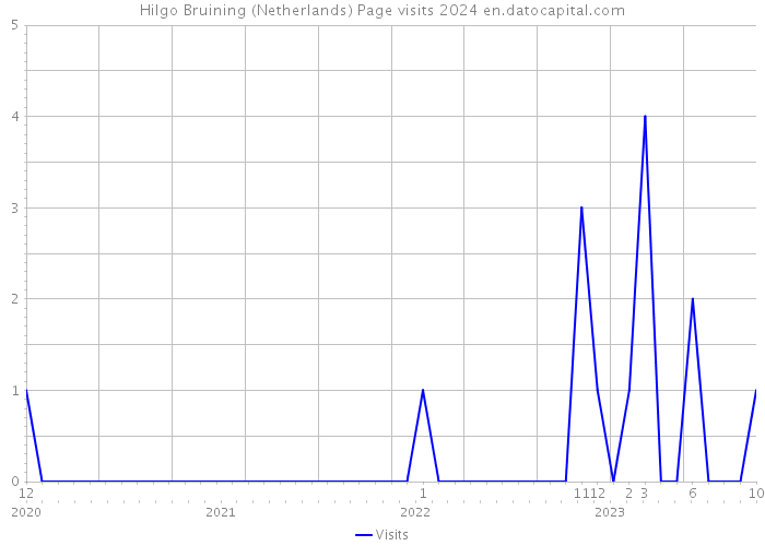 Hilgo Bruining (Netherlands) Page visits 2024 