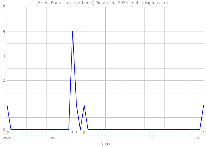 Brane Bratusa (Netherlands) Page visits 2024 