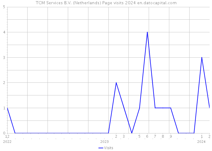 TCM Services B.V. (Netherlands) Page visits 2024 