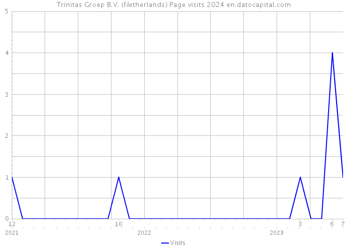 Trinitas Groep B.V. (Netherlands) Page visits 2024 