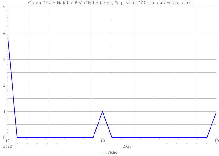 Groen Groep Holding B.V. (Netherlands) Page visits 2024 