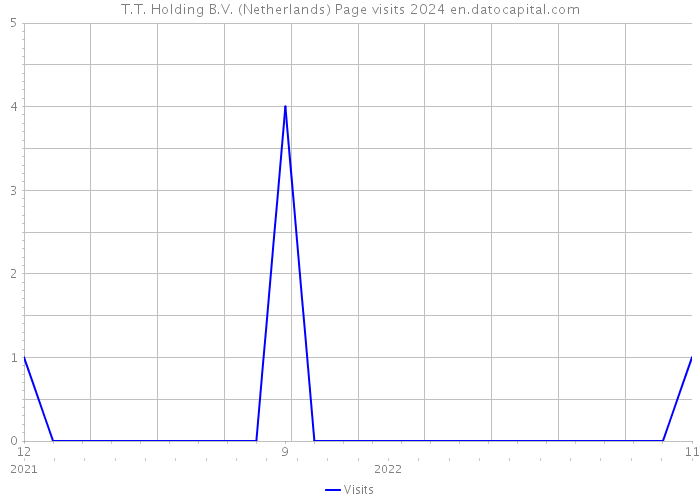 T.T. Holding B.V. (Netherlands) Page visits 2024 