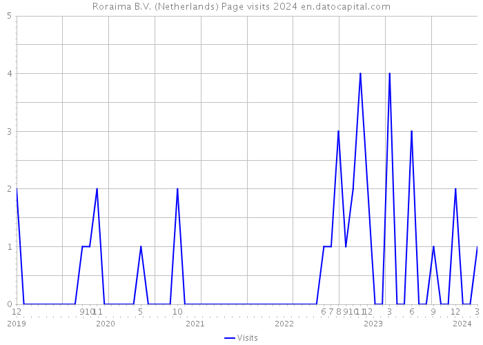 Roraima B.V. (Netherlands) Page visits 2024 