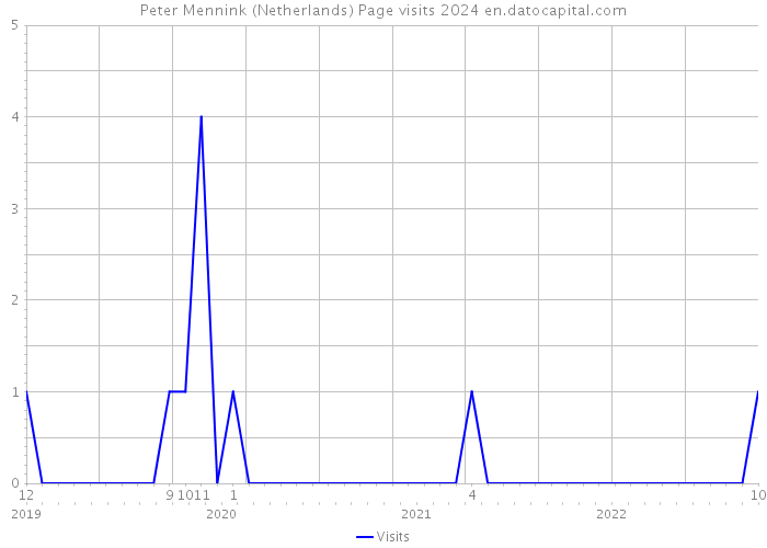 Peter Mennink (Netherlands) Page visits 2024 