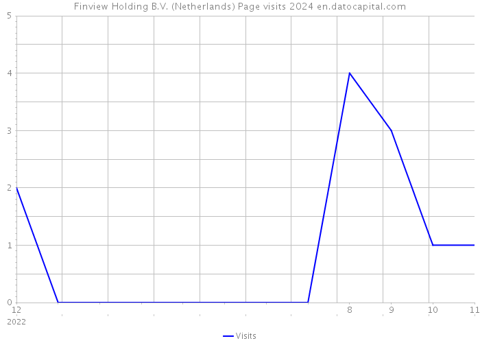 Finview Holding B.V. (Netherlands) Page visits 2024 