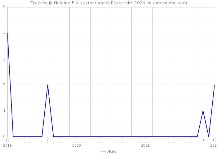 Troostwijk Holding B.V. (Netherlands) Page visits 2024 