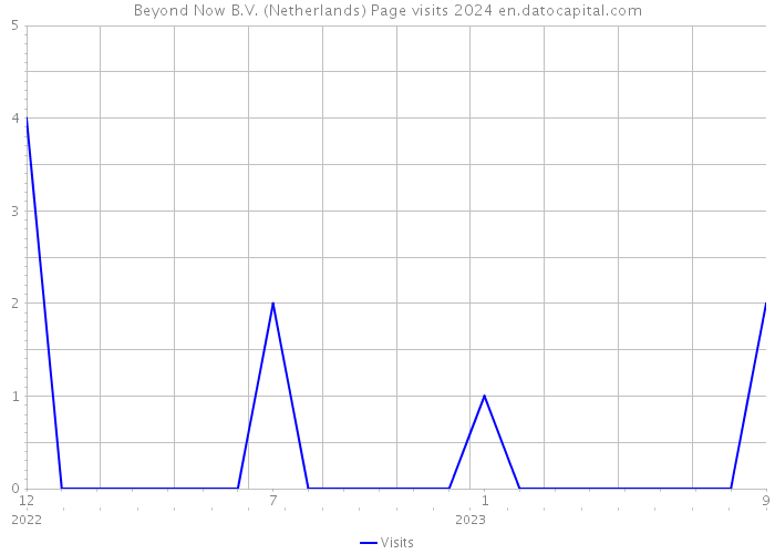 Beyond Now B.V. (Netherlands) Page visits 2024 