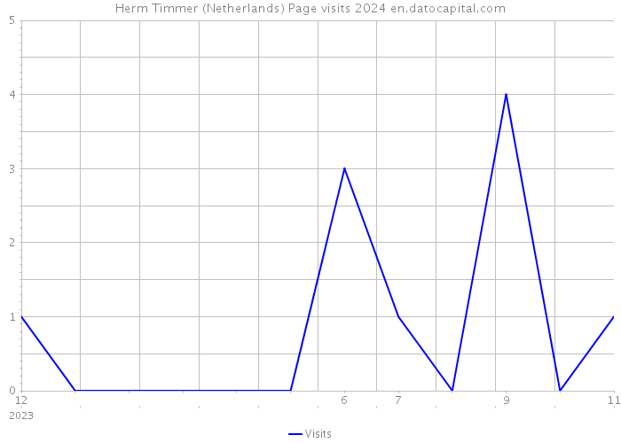 Herm Timmer (Netherlands) Page visits 2024 