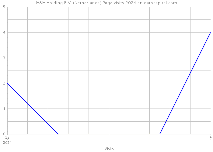 H&H Holding B.V. (Netherlands) Page visits 2024 