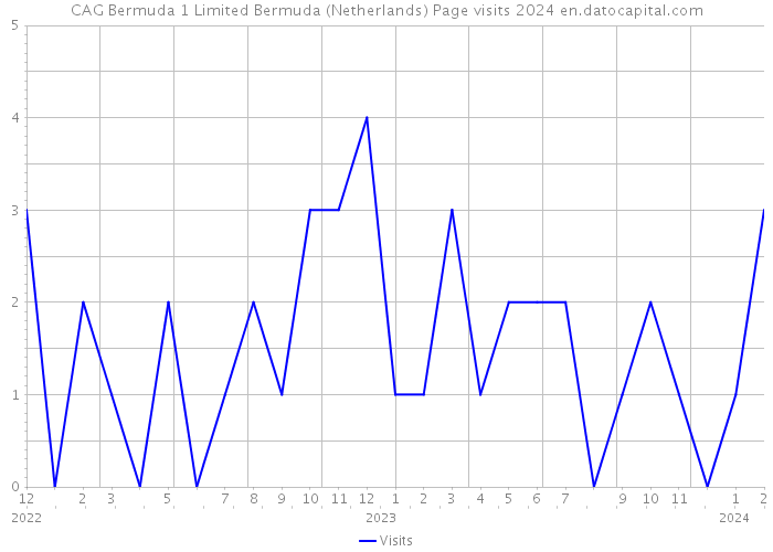 CAG Bermuda 1 Limited Bermuda (Netherlands) Page visits 2024 