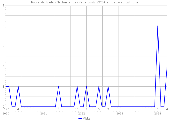 Riccardo Bailo (Netherlands) Page visits 2024 