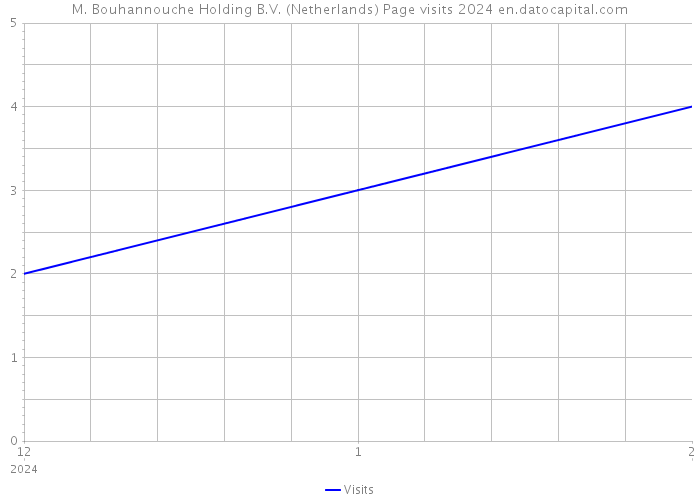 M. Bouhannouche Holding B.V. (Netherlands) Page visits 2024 