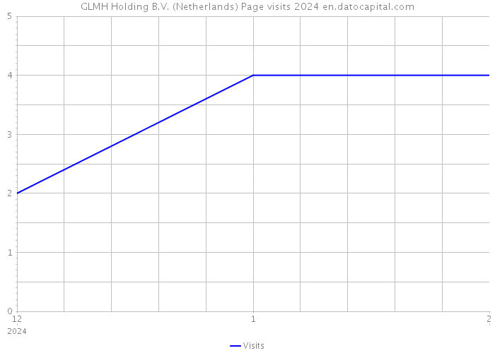 GLMH Holding B.V. (Netherlands) Page visits 2024 