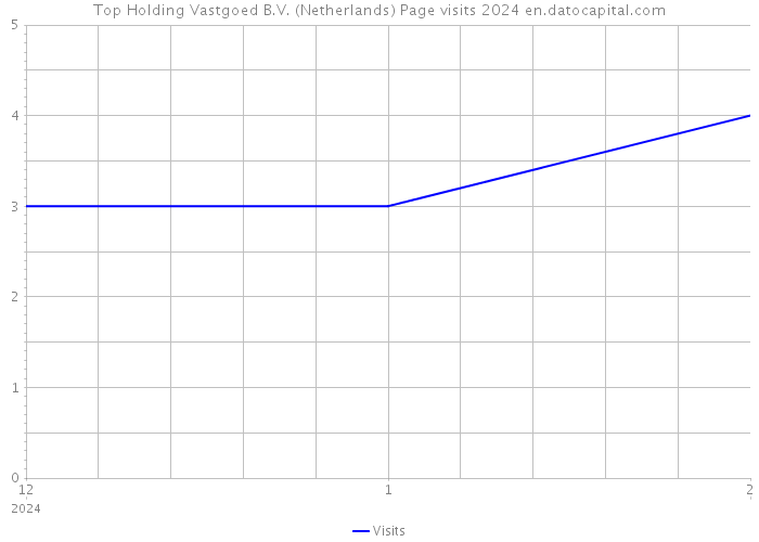 Top Holding Vastgoed B.V. (Netherlands) Page visits 2024 