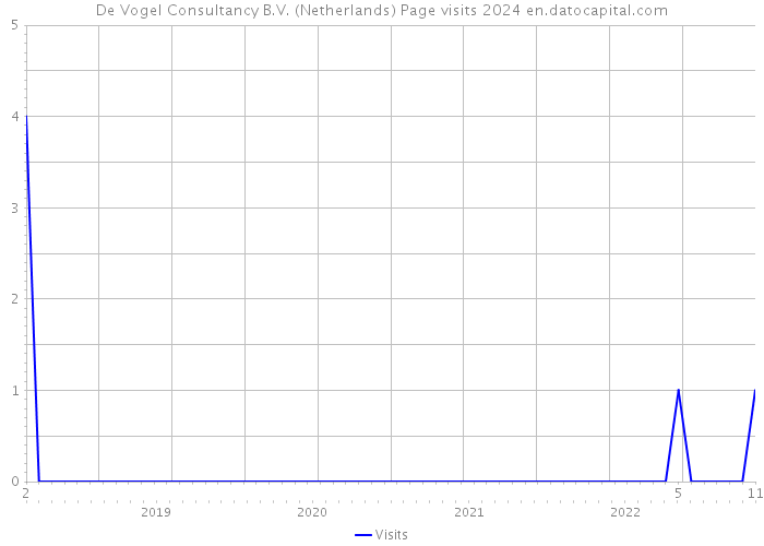 De Vogel Consultancy B.V. (Netherlands) Page visits 2024 