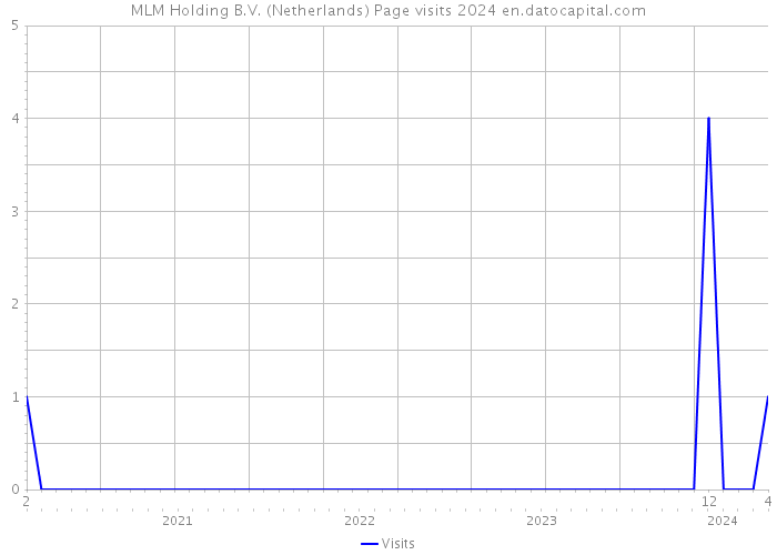 MLM Holding B.V. (Netherlands) Page visits 2024 