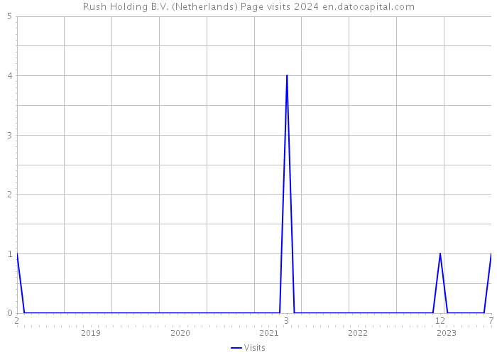 Rush Holding B.V. (Netherlands) Page visits 2024 