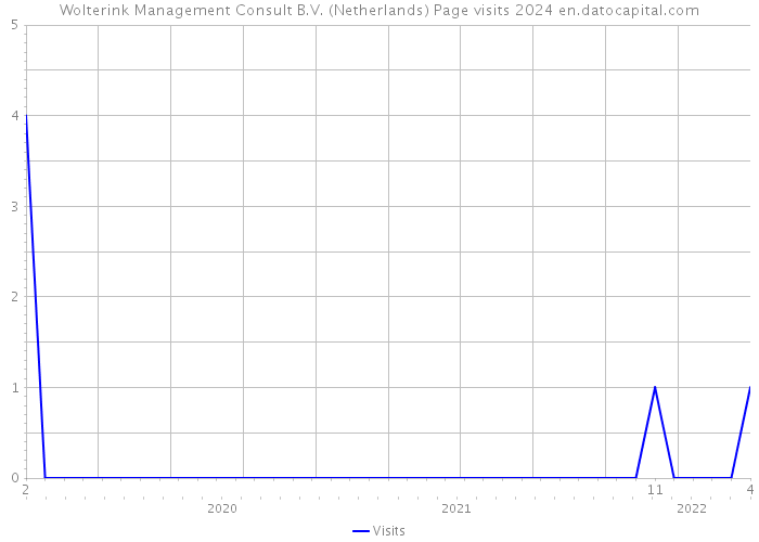 Wolterink Management Consult B.V. (Netherlands) Page visits 2024 