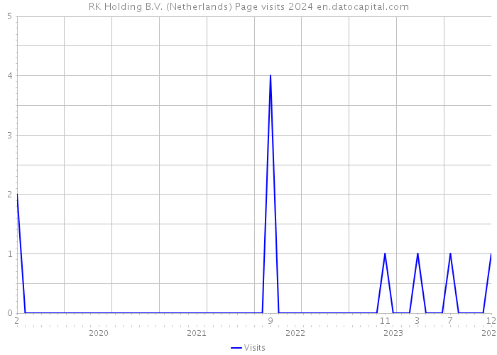 RK Holding B.V. (Netherlands) Page visits 2024 