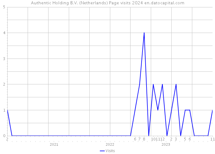 Authentic Holding B.V. (Netherlands) Page visits 2024 