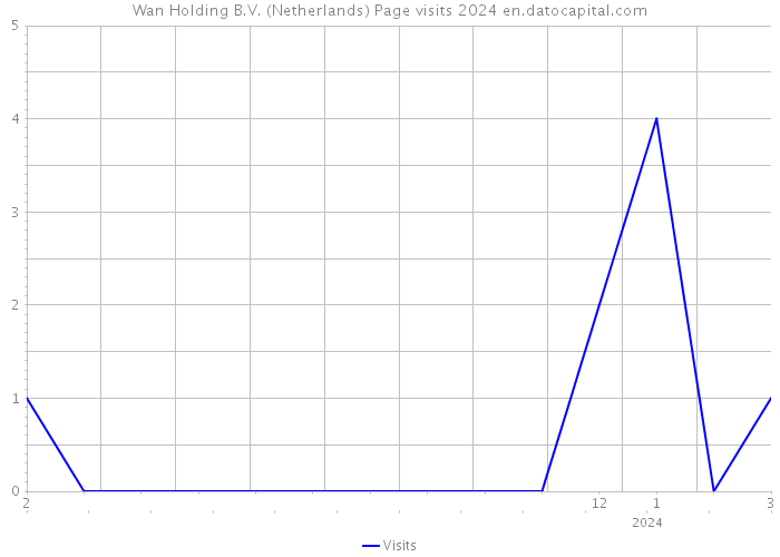 Wan Holding B.V. (Netherlands) Page visits 2024 