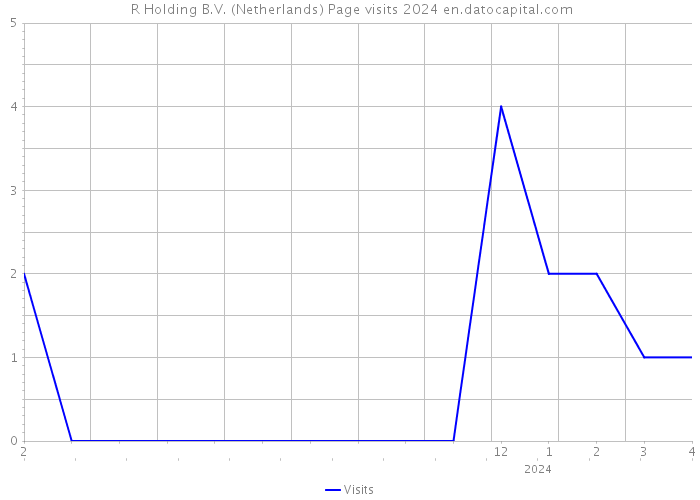 +R Holding B.V. (Netherlands) Page visits 2024 