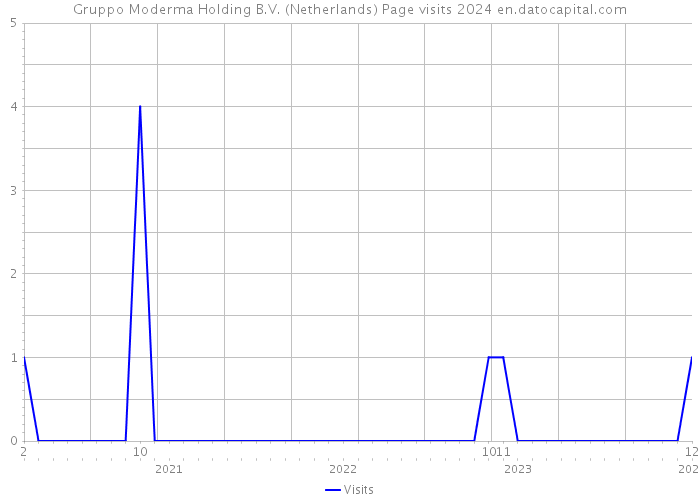 Gruppo Moderma Holding B.V. (Netherlands) Page visits 2024 