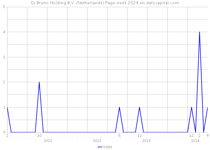 Di Bruno Holding B.V. (Netherlands) Page visits 2024 