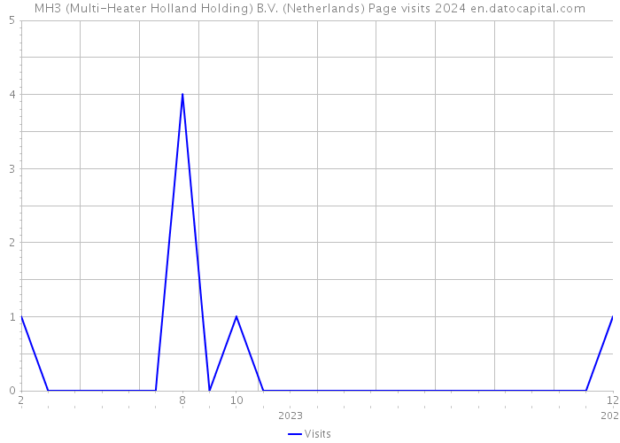 MH3 (Multi-Heater Holland Holding) B.V. (Netherlands) Page visits 2024 
