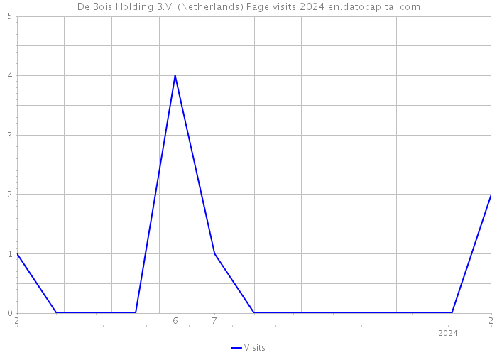 De Bois Holding B.V. (Netherlands) Page visits 2024 