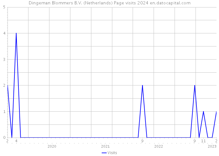 Dingeman Blommers B.V. (Netherlands) Page visits 2024 