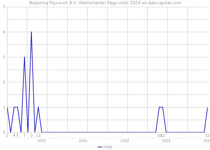 Meijering Flexwork B.V. (Netherlands) Page visits 2024 