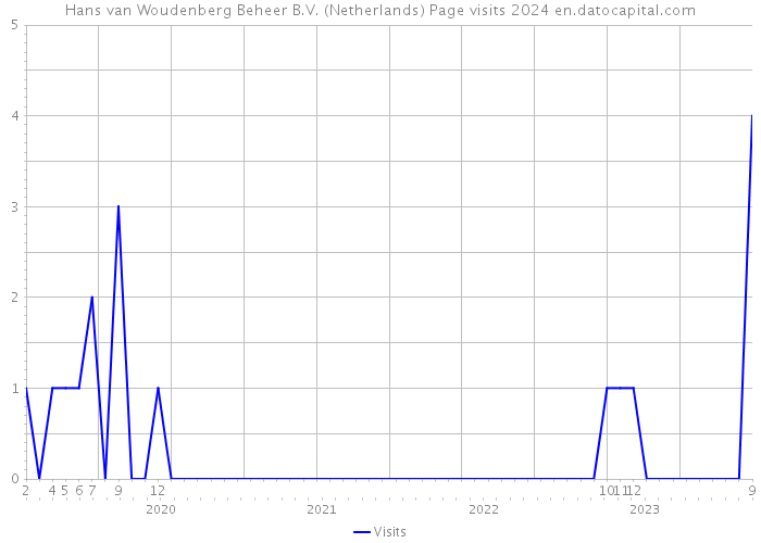 Hans van Woudenberg Beheer B.V. (Netherlands) Page visits 2024 